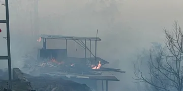 Hatay’da orman yangını evlere sıçradı