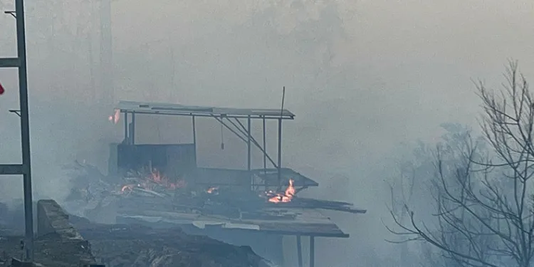 Hatay’da orman yangını evlere sıçradı