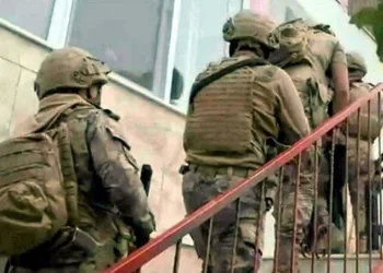 Terör örgütü PKK’ya operasyon