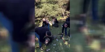 Vatandaşlar 7 saatte bir tır dolusu çöp topladı