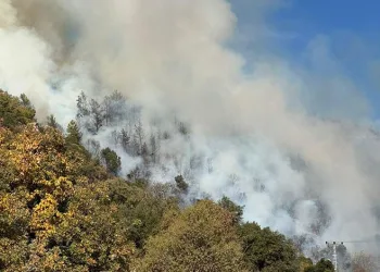 Kumluca’da orman yangını