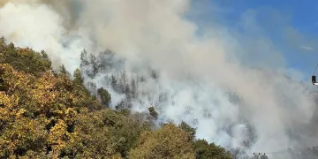 Kumluca’da orman yangını