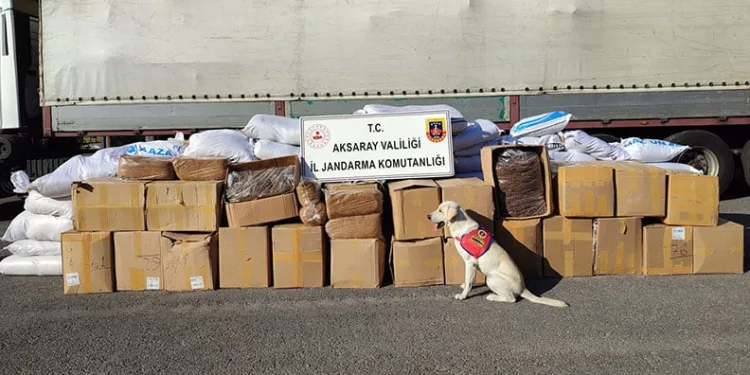 TIR’ın dorsesinde kaçak tütün ele geçirildi