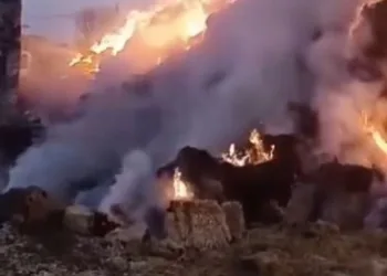 Konya’da 3 bin saman balyası kundaklandı