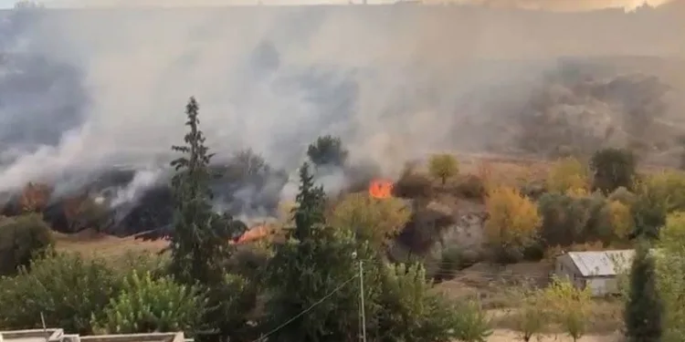 Anız yangını bahçelere sıçradı