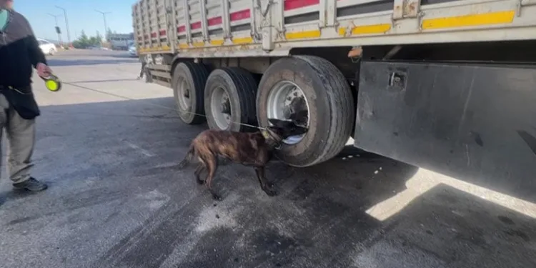 TIR lastiğinde 53 kilogram esrar çıktı