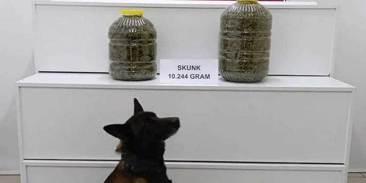 Yolcu valizinden 10 kilo uyuşturucu çıktı