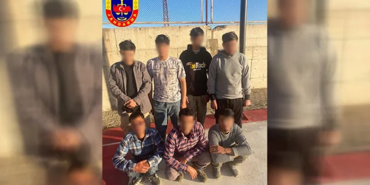Erciş’te 7 düzensiz göçmen yakalandı