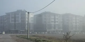 Bandırma’da kara ve deniz taşımacılığında sis engeli