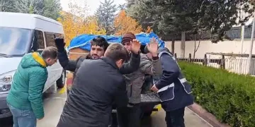 Arı kovanlarının altında kaçak göçmen taşıdı