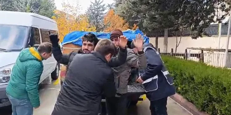 Arı kovanlarının altında kaçak göçmen taşıdı