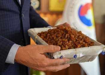 Manisa’nın Sultaniye üzümü ihracatta yüz güldürdü