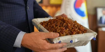 Manisa’nın Sultaniye üzümü ihracatta yüz güldürdü