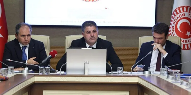 Milletvekili Şan, komisyon başkanlığına getirildi