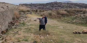 Küçükbaş hayvan sürüsünün arasında otomobil daldı: 17 hayvan telef oldu