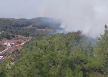 Hatay’da orman yangını