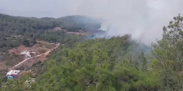 Hatay’da orman yangını