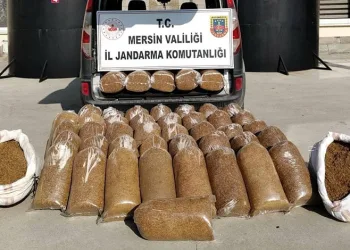 Mersin’de 455 kilo kaçak tütün ele geçirildi