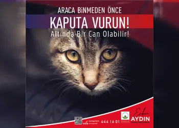 Araca binmeden önce kaputa vur