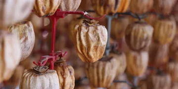 Cennet hurmaları terasları süsledi