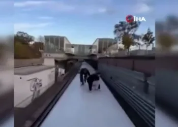 Türkiye Kuraş Şampiyonası’nda büyük gurur