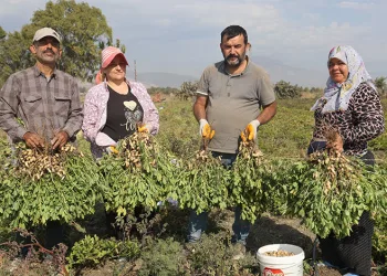 “Günlük 1000 liraya işçi bulamıyoruz”