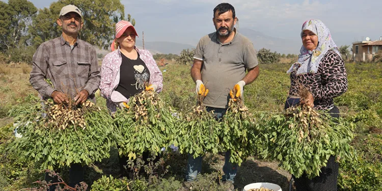 “Günlük 1000 liraya işçi bulamıyoruz”