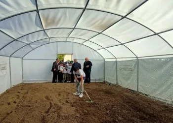 Okuldaki çiftlik kışlık sebze üretecek