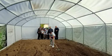 Okuldaki çiftlik kışlık sebze üretecek