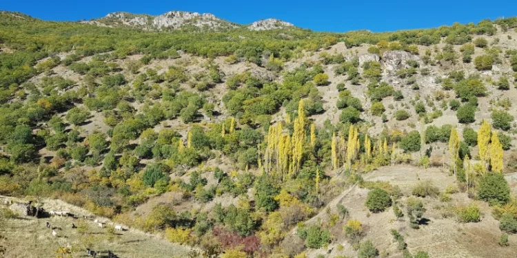 Kulp’ta sonbahar güzelliği