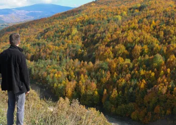 Bolu’nun yükseklerinde renk cümbüşü