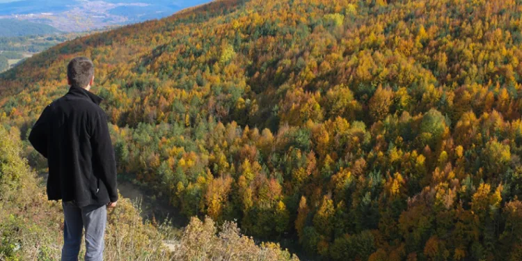 Bolu’nun yükseklerinde renk cümbüşü