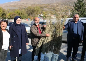 Goji berry yetiştiriciliği başladı