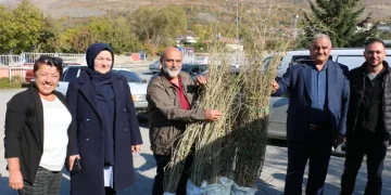 Goji berry yetiştiriciliği başladı