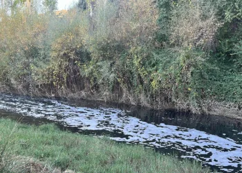 Kirlilik ve balık ölümlerine neden olduğu iddia edildi