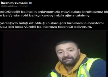 Kişi başına düşen yeşil alan miktarı 8.3 metrekare