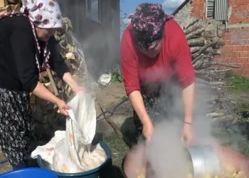 Kendilerine ekonomik gelir sağlıyorlar
