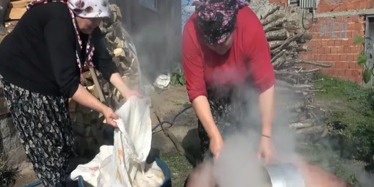 Kendilerine ekonomik gelir sağlıyorlar