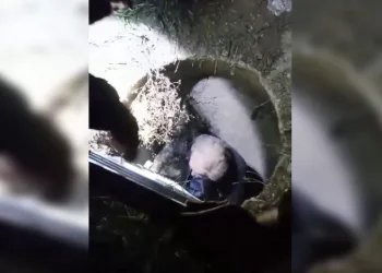 Açık bırakılan rögara düştü