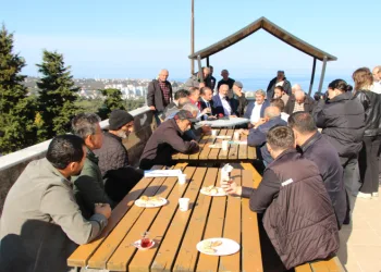 Kahverengi kokarca zararlısı için Samuray arısı üretimi