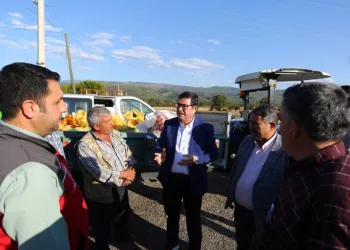 Tarımda yeni destekleme modeli