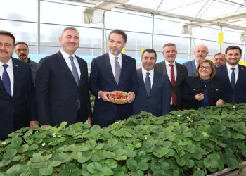Mekanik Biyolojik Ayrıştırma Tesisi ve çilek serasına tam not