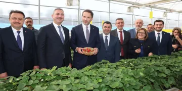Mekanik Biyolojik Ayrıştırma Tesisi ve çilek serasına tam not