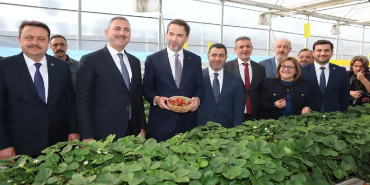 Mekanik Biyolojik Ayrıştırma Tesisi ve çilek serasına tam not
