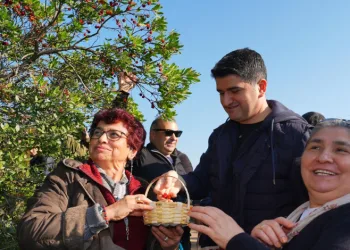 438 metre yüksekliğindeki dağ çileği