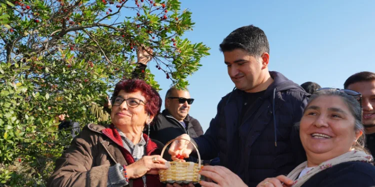 438 metre yüksekliğindeki dağ çileği