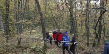 Yenice ormanlarında tepki çeken çevre kirliliği