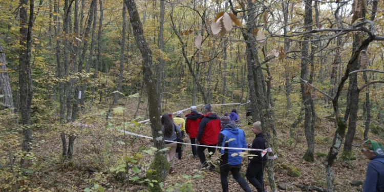 Yenice ormanlarında tepki çeken çevre kirliliği