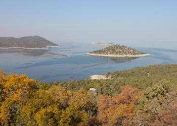 Hacıakif Adası doğa tutkunlarının ilgi odağı