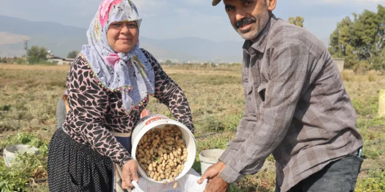 “Günde 1000 TL’ye işçi bulamıyoruz”
